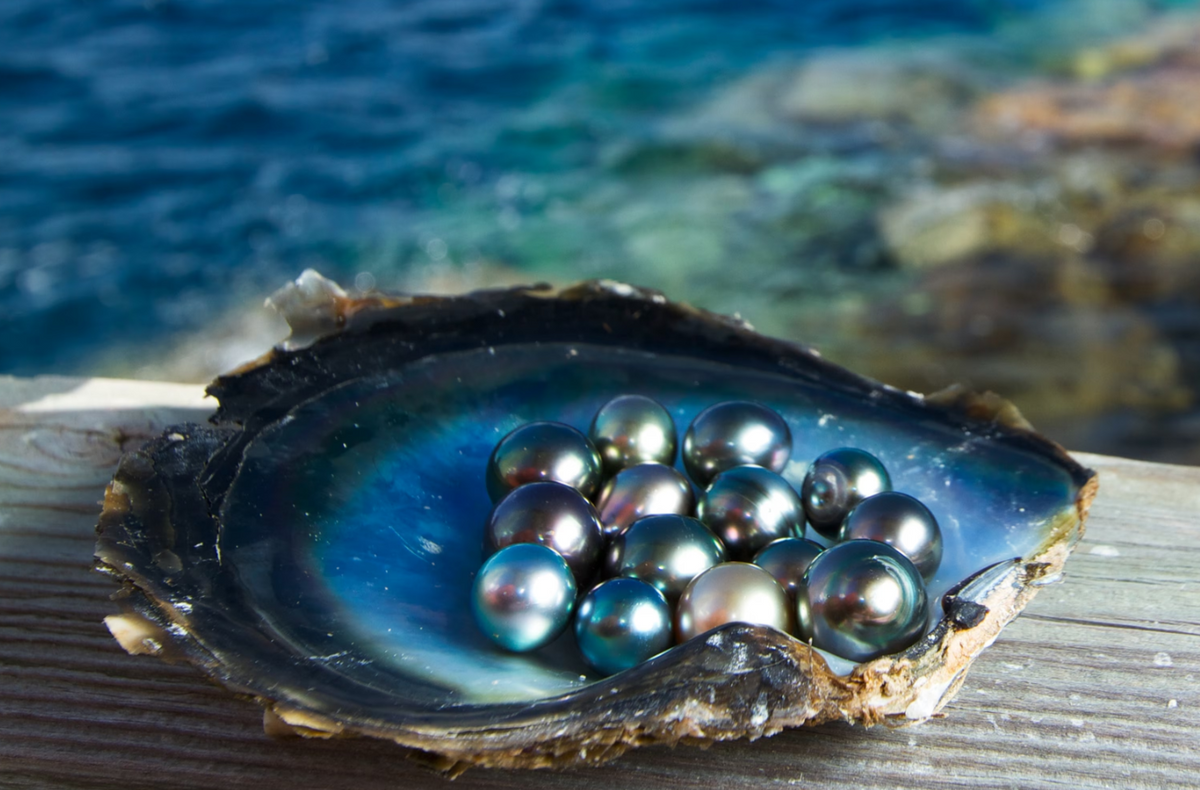 Don’t know how to buy pearls? Mastering Pearl Buying: Your Essential Guide
